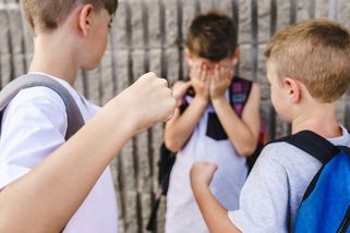 „Každý mluví jiným jazykem.“ Agresivita u dětí roste a stát hledá řešení - Seznam Zprávy
